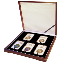 Universal Wood Display Box - 5 Slabs