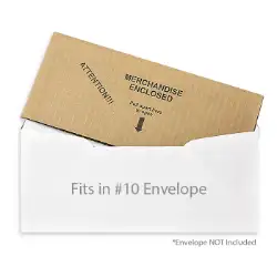 Self Adhesive Mailer (#10 Envelope)