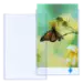 Ledger Size Sentry Holders - 11x17 pack of 25