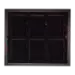 Certified Coin Slab Tray - Holds 6 Slabs