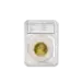 Guardhouse Defender Coin Slab for Small Dollars - 3 Pack