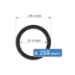 31mm Evocore Bulk Pack Large Foam Rings - 250 Pack